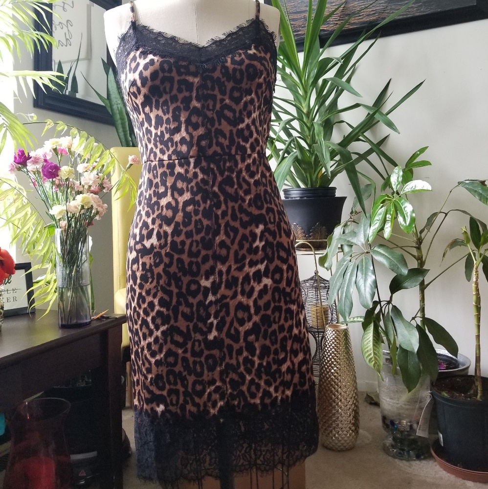 VENUS leopard print and lace dress!🌶